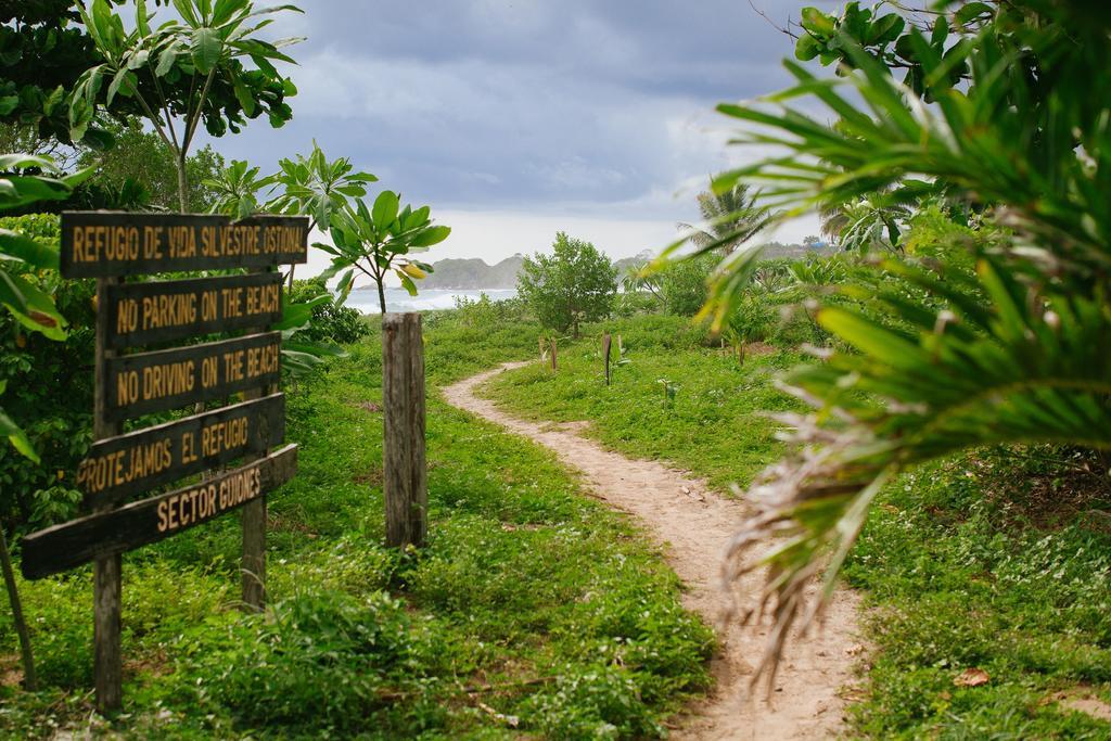 Olas Verdes Hotel Nosara Luaran gambar