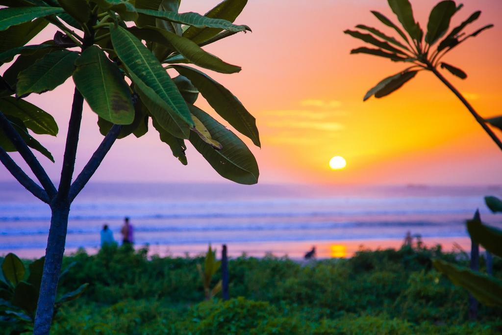 Olas Verdes Hotel Nosara Luaran gambar